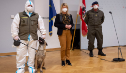 Австрийские кинологи научили собаку определять COVID-19 по запаху