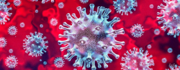 Будьте осторожны: назван смертельно опасный посткоронавирусный синдром