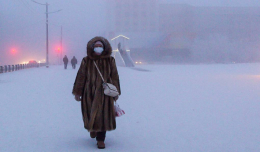 Эксперт: экстремальные морозы могут способствовать распространению коронавируса в Сибири