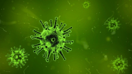 Эпидемиолог назвал главное открытие о новом коронавирусе