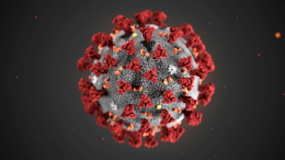 Индийские врачи обнаружили десять подтипов нового коронавируса