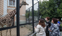 В Москве отменили все ограничения на посещение зоопарков