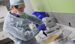 В Новосибирске вывели мышей для испытания вакцин от коронавируса