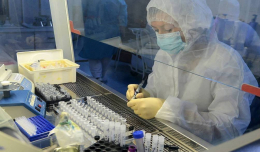 В России создается препарат, останавливающий размножение коронавируса