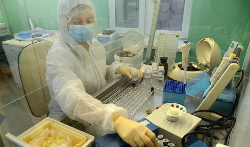 Исследование: популярность медлабораторий в России выросла в 2,7 раза с начала пандемии
