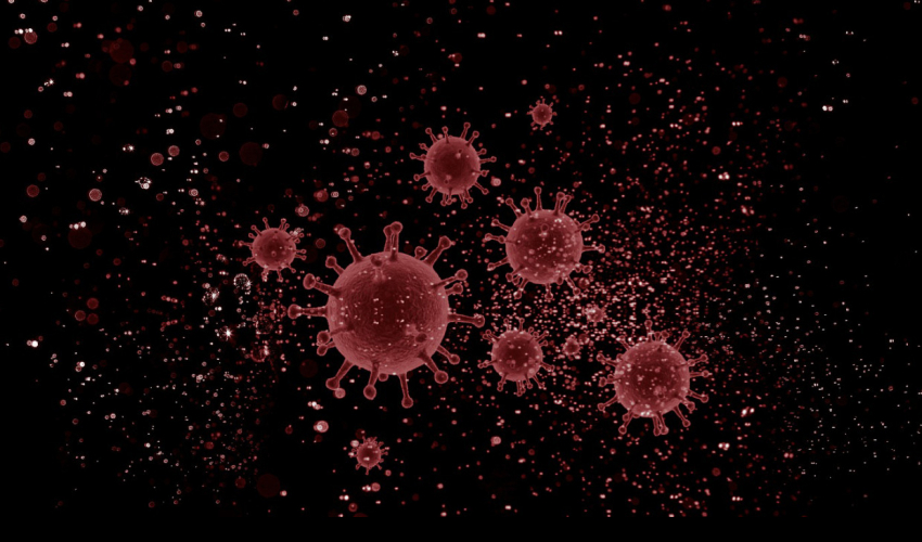 ВОЗ рассказала о заразности новой мутации коронавируса из Великобритании